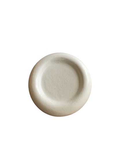 mini dish